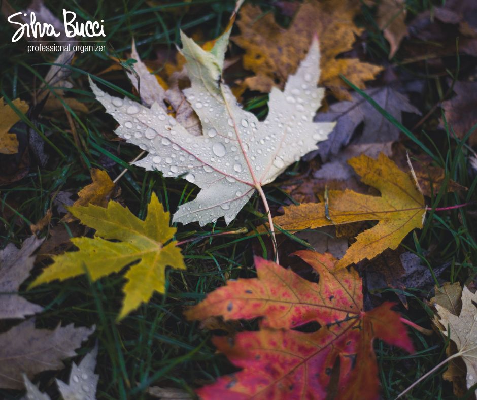 foglie cadute colorate mese di settembre consigli per una ripartenza senza stress grazie al cambio delle abitudini